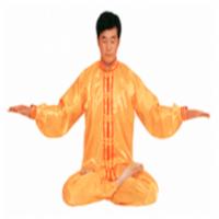 Qigong-Méditation: Villeurbanne-MDC (M, salle,1h30