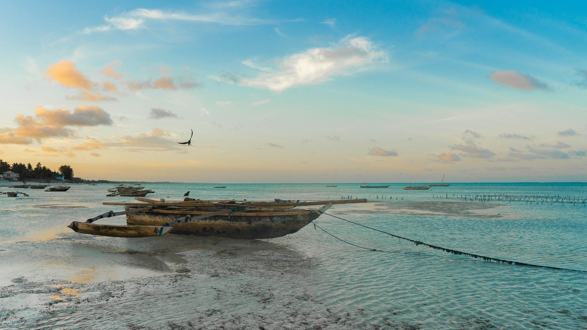 Zanzibar : une expérience unique entre détente et tradition