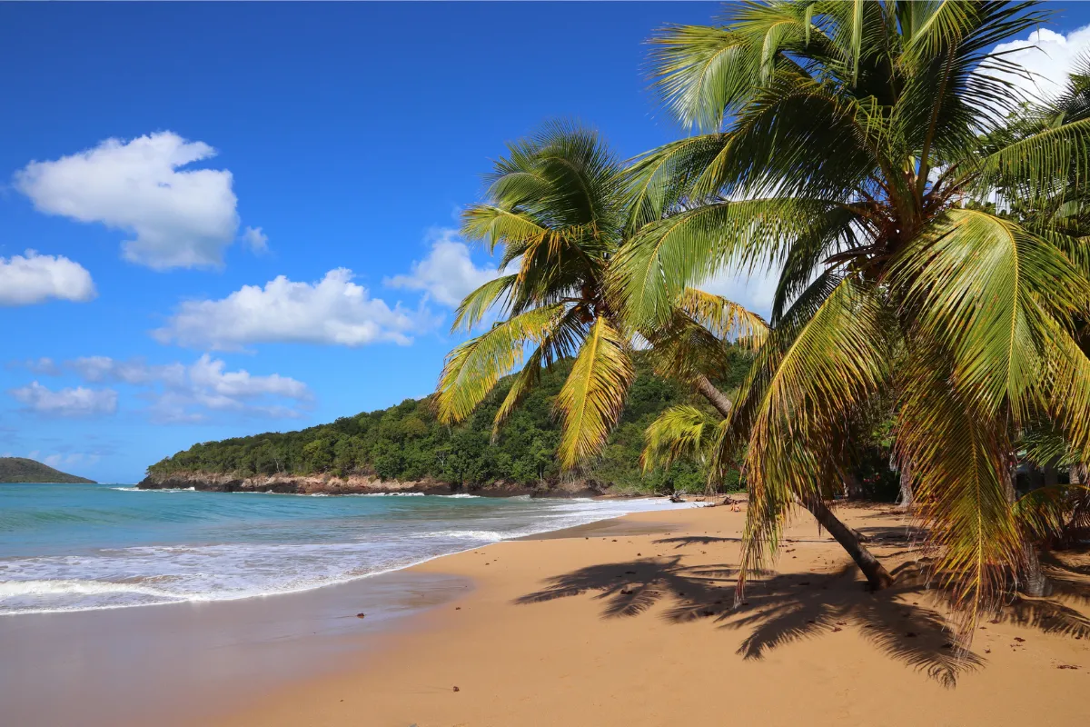 De la terrasse au lagon : vivre la Guadeloupe autrement en villa vue sur mer